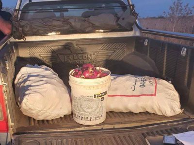 "על חם": תושב האזור חשוד בגניבת 100 ק"ג תוצרת חקלאית סמוך לבית קשת