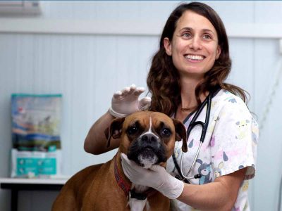 טור לקראת יום כיפור: טיפים לשמירה על הכלבים במהלך הצום