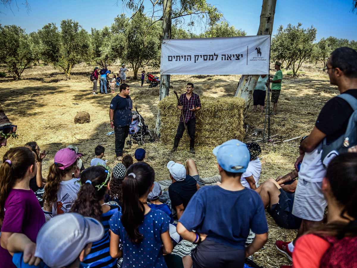 מסיק משפחות ביער אליקים- צילום: ישי כהן