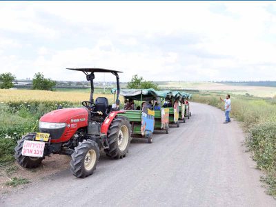 זמן משפחה: יוצאים מהסוכה לטיולים בעמק