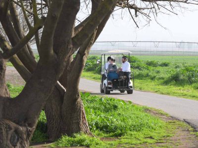 חול המועד סוכות: מרתון הצפרות של קק"ל – צפרתון באגמון החולה