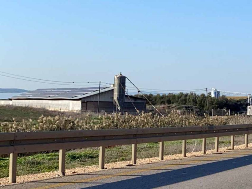 גלבוע: שפעת עופות התגלתה במושב רם-און גלבוע: שפעת עופות התגלתה במושב רם-און