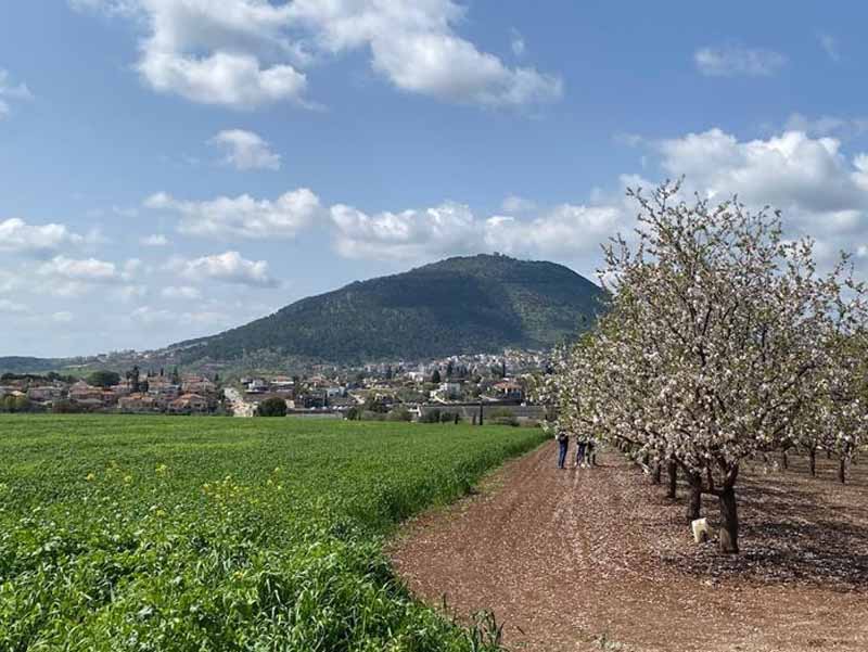 כפר תבור: "רשת Olive תפתח מלון בתחום שיפוטה של המועצה" כפר תבור: "רשת Olive תפתח מלון בתחום שיפוטה של המועצה"